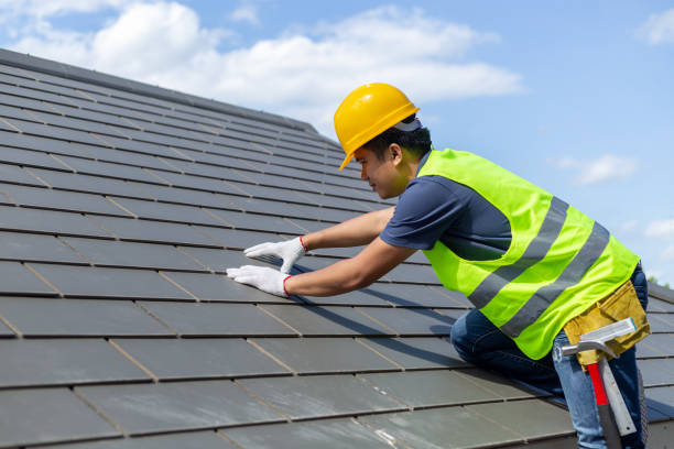Best Roof Repair Services  in Tornillo, TX